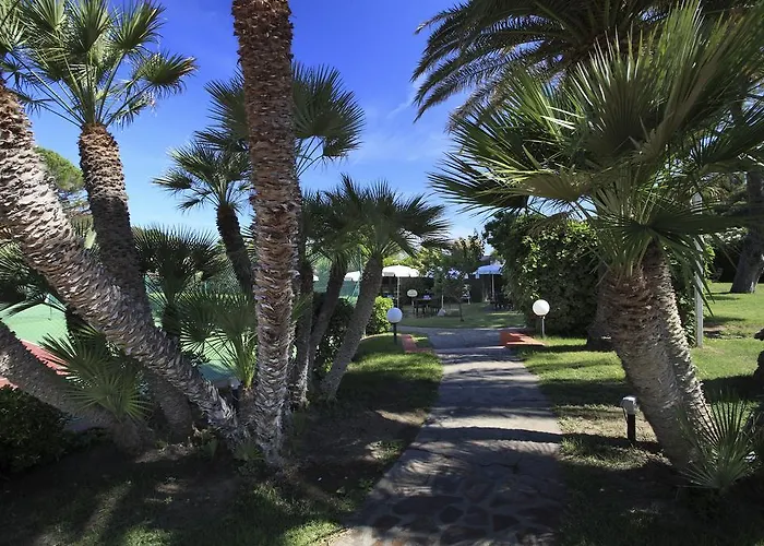 Desiree Проккио