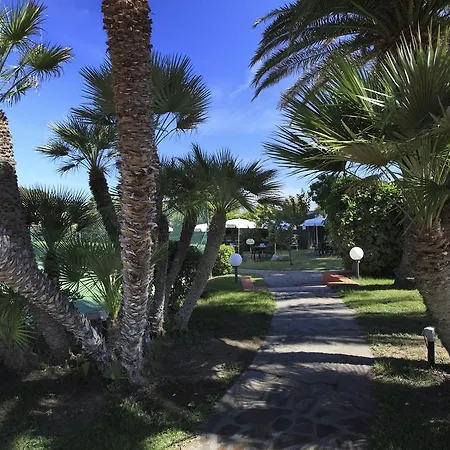 Desiree プロッキオ