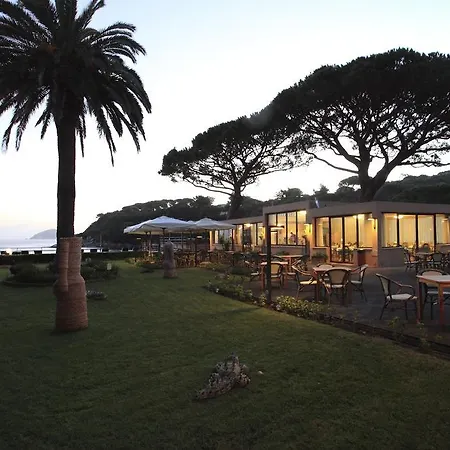 Desiree プロッキオ